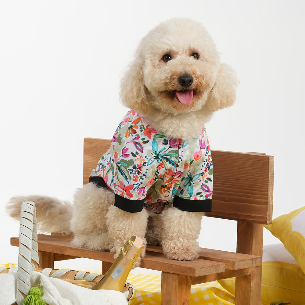 Hollie Hawaii Bomber