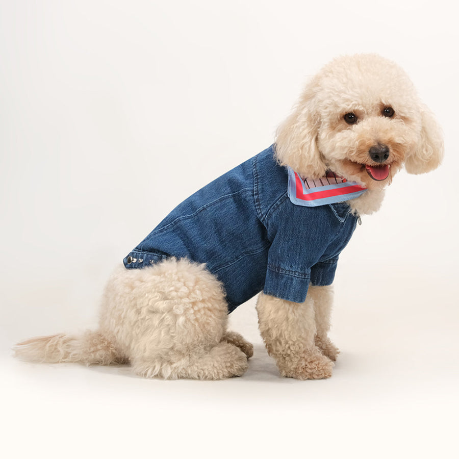 Romphy Denim Ceket